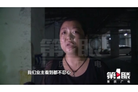 /img/2239.png/img/2239.png网贷催收花样多：揭秘网贷行业背后的催收手段/img/2239.png